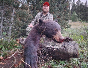 An SNS Outfitter & Guides client poses with his color phase black bear in the Greys River mountains amongst the pine trees.